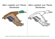 Titelseite-Stockente-2.pdf